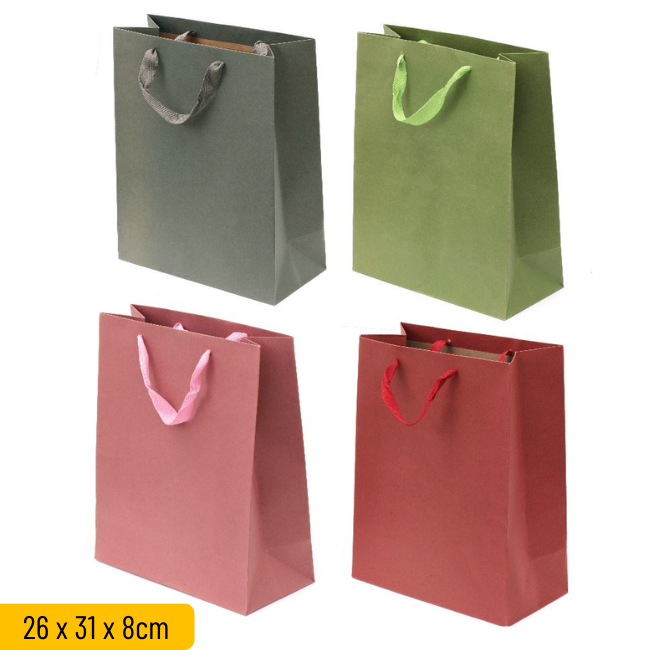 Kraft Paper Bag (Colour)