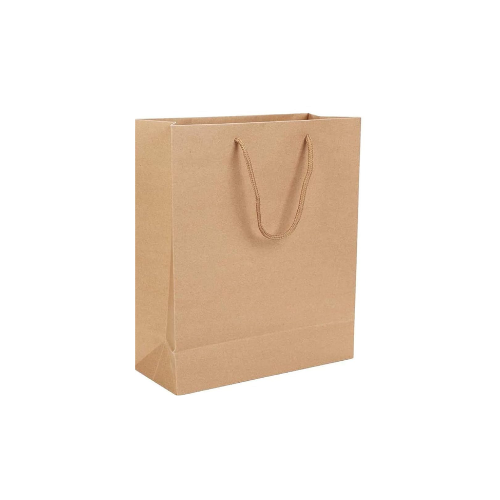 Kraft Paper Bag (Plain)