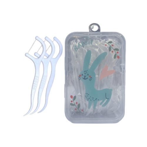 Disposable Dental Floss Picks 50's