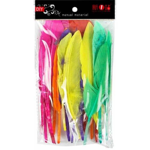 DIY Colour Feather 10's