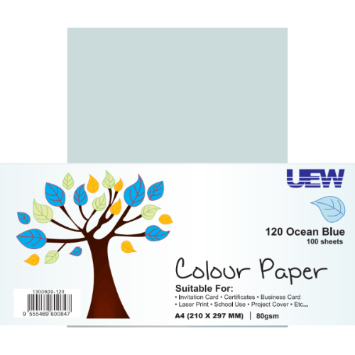 UEW COLOUR PAPER A4 80gsm 100's