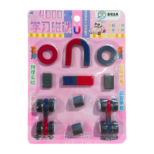 DIY Science Experiment Magnet Learning CT-8004