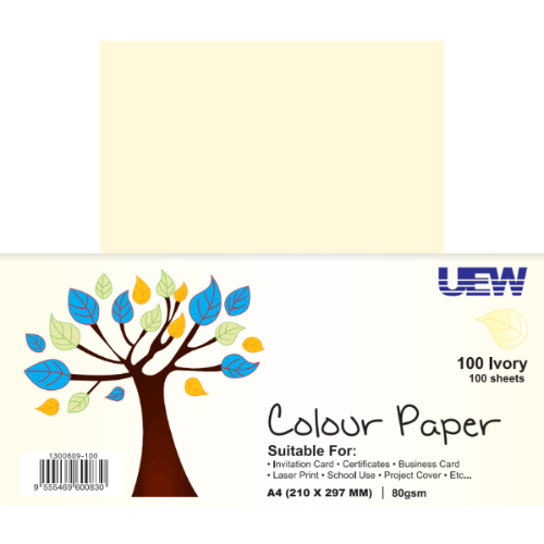 UEW COLOUR PAPER A4 80gsm 100's